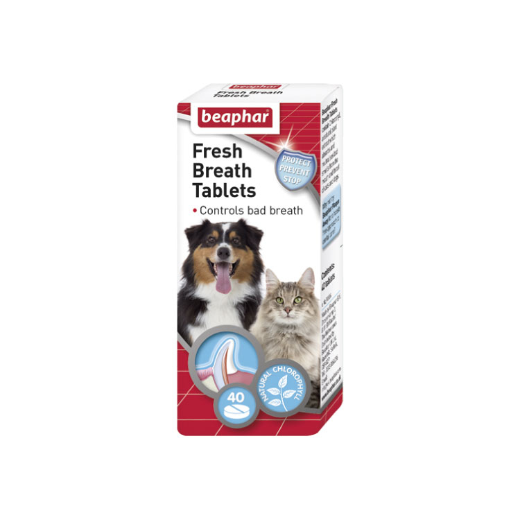 犬貓口腔清新錠｜樂透 Beaphar