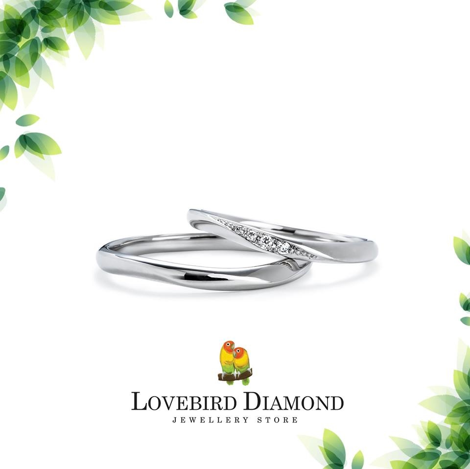 11.22 夫婦系列 - Forever True 鉑金 (Pt900) 結婚戒指