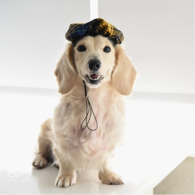 ZAZAZOO - 貝雷帽 (6色)