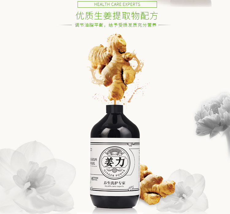 姜力防脫【正品】(2號) 姜力姜花髮絲調理潤髮乳*姜力香港代理