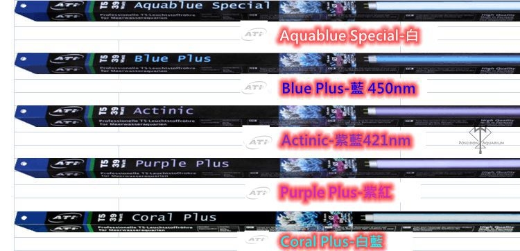 德國 ATI 高功率 (共五色)