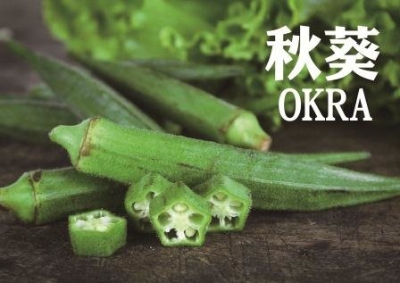 顧胃食譜 中醫教你這麼做