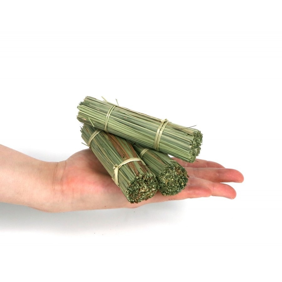 日本Marukan牧草捲心棒3入 MK-MR-609