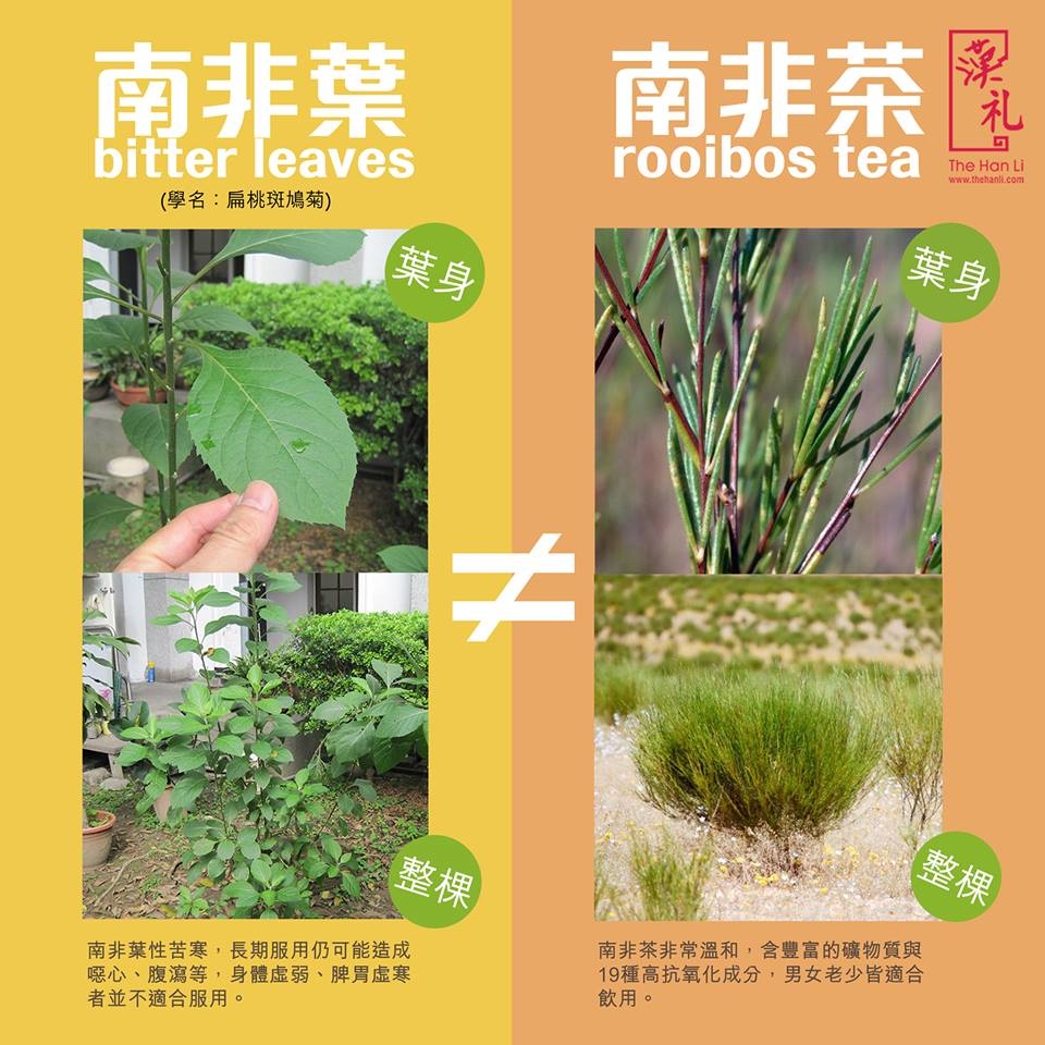 漢禮，漢礼，禪修，正念生活，正念，靜心，禮品，佛教，Meditation，南非茶，Vegan lifestyle