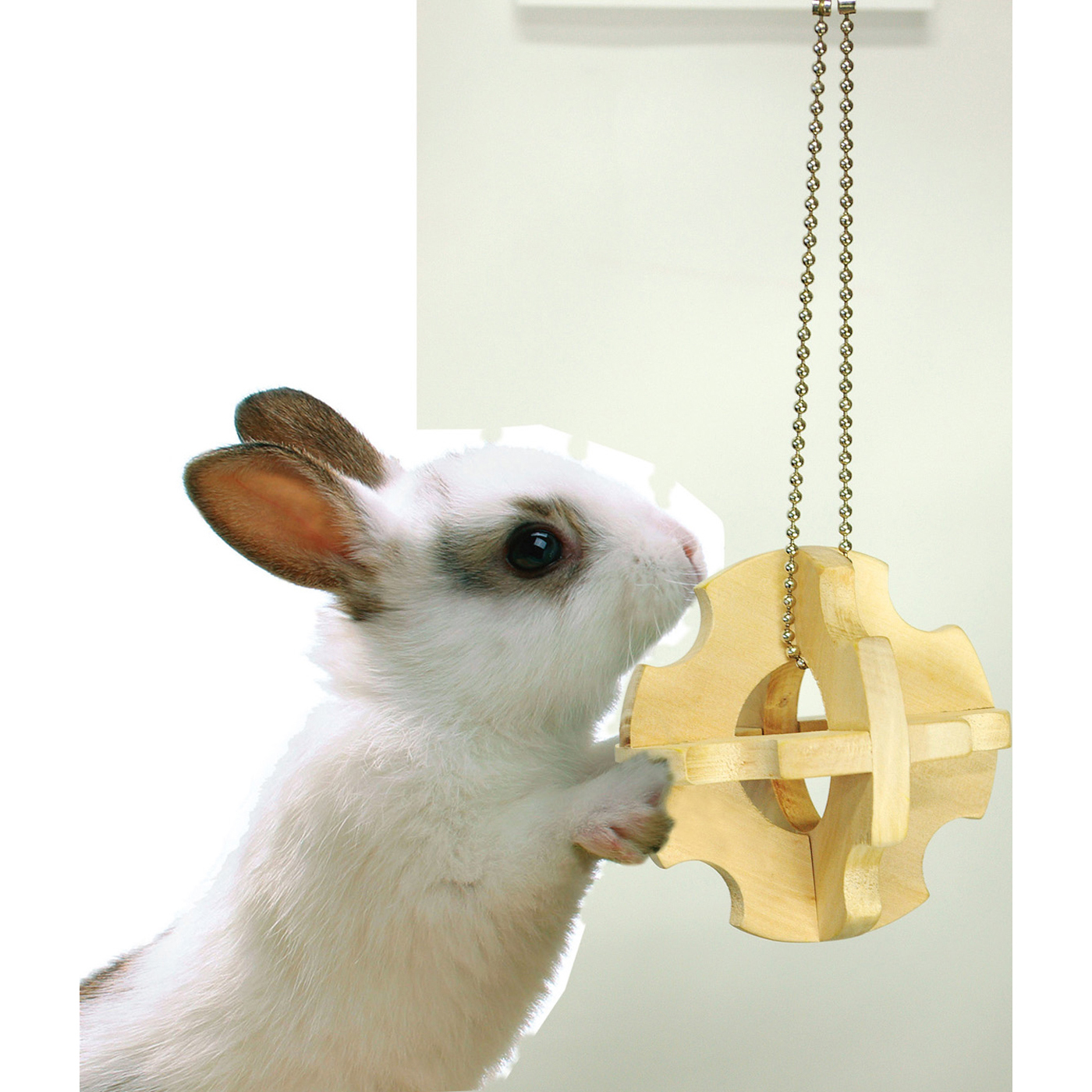 日本MARUKAN 天然磨牙球 MK-MR-264