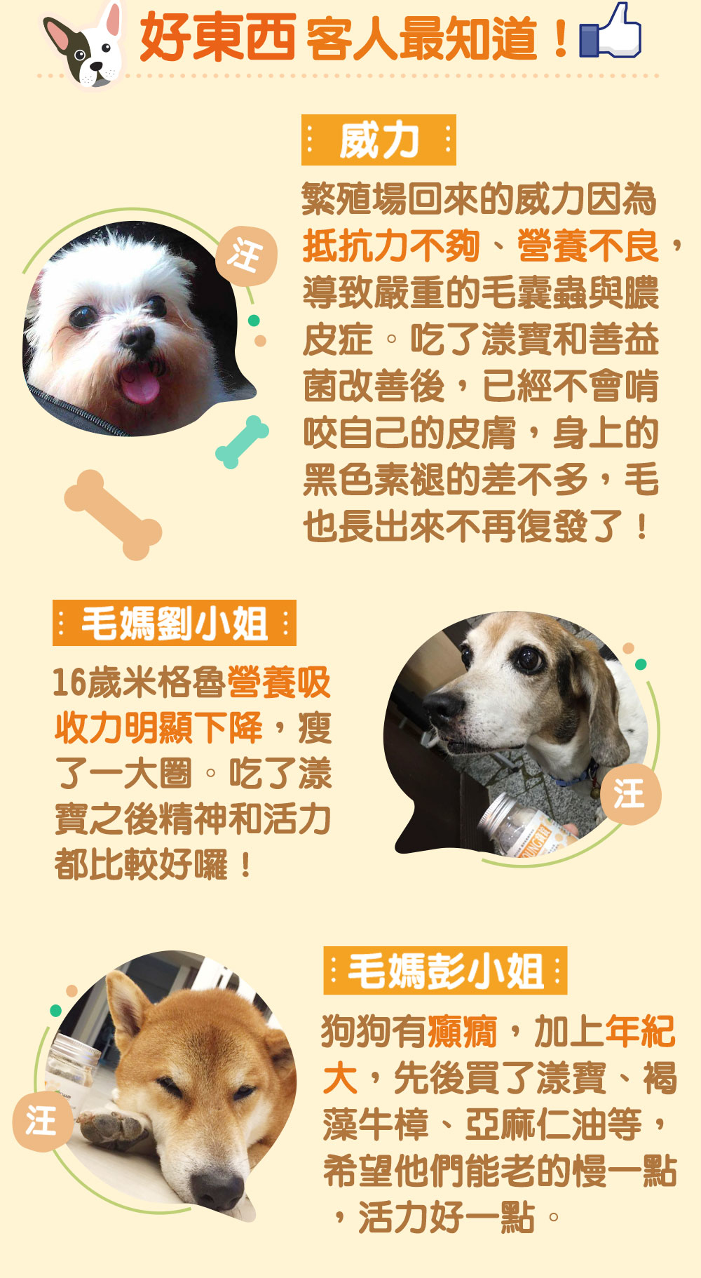 威力：威力有嚴重的毛囊炎和膿皮症，吃漾寶和善益菌讓免疫維持在健康狀態，現在已經不會咬自己的皮膚，黑色素也褪的差不多，毛也長出來不再復發。毛媽劉小姐：16歲米格魯吃了漾寶後精神活力都變好囉！