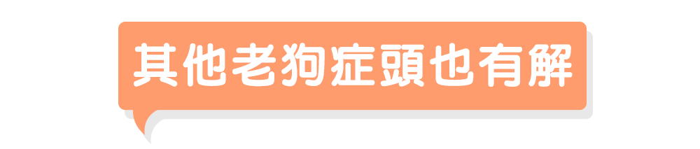 老狗需要補充什麼？這裡一次有解
