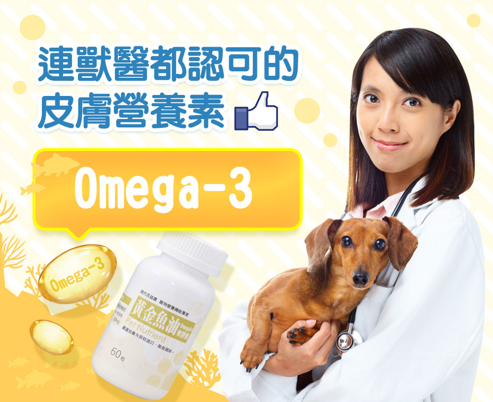 魚油中的Omega-3是連獸醫都認可的皮膚營養素