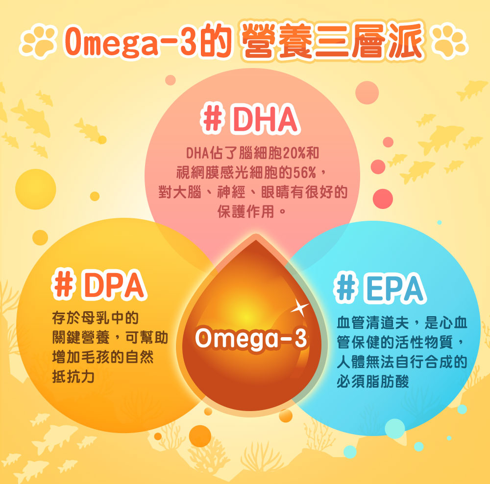 寵物魚油Omega3中的DHA、DPA、EPA對眼睛、大腦、皮膚都很重要