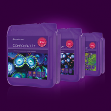 AF Component 1+ 2+ 3+  5L