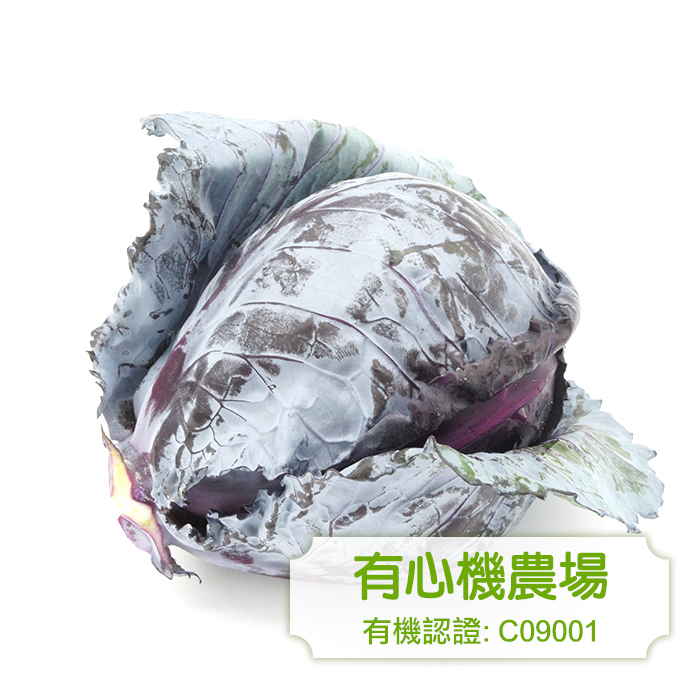 [有心機] 有機紫椰菜  約600g