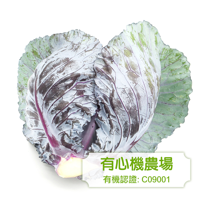 [有心機] 有機紫椰菜  約600g