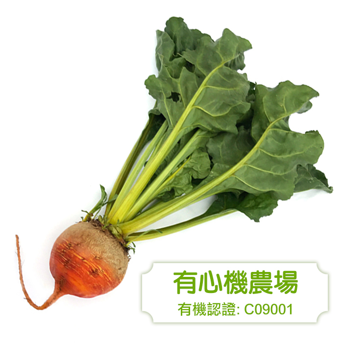 [有心機] 有機金菜頭 1lb (453g)