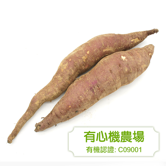 [有心機] Organic Sweet Potato (yellow)  有機蕃薯 1磅 (453g)