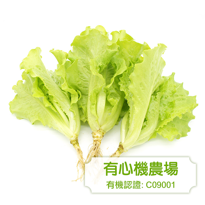 [有心機] 有機意大利生菜 1磅 (453g)