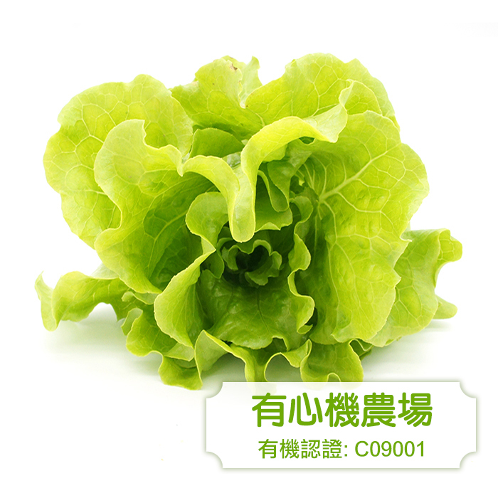 [有心機] 有機意大利生菜 1磅 (453g)