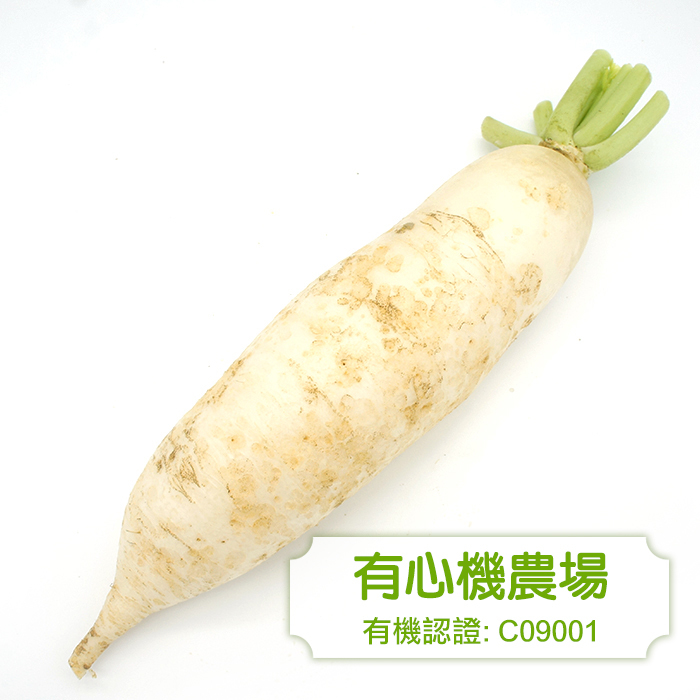 [有心機] 有機白蘿蔔 453g