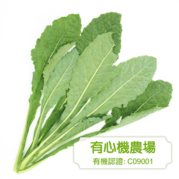 [有心機] 有機羽衣甘藍 半磅 (225g)