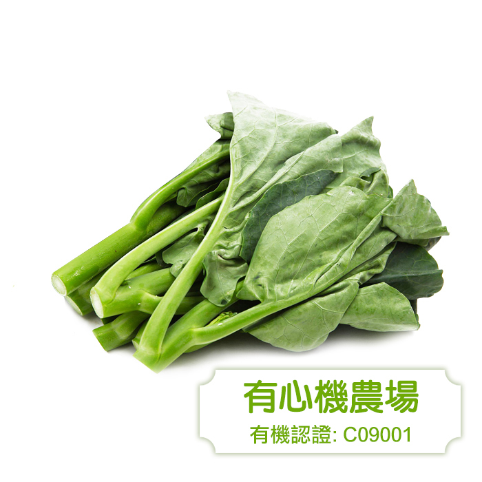 [有心機] Organic Kale 有機芥蘭 1磅（453g)