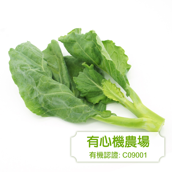 [有心機] Organic Kale 有機芥蘭 1磅（453g)