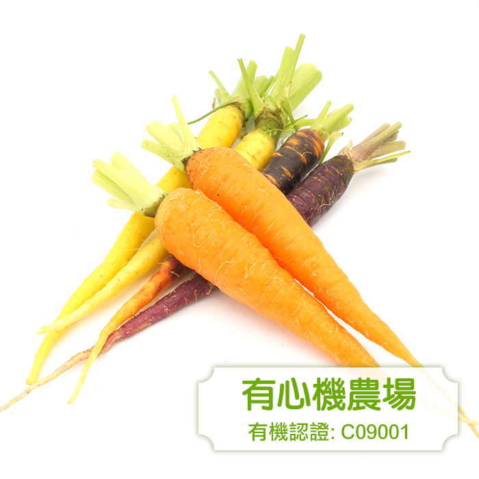 [有心機] 有機雜色甘筍 1磅 (453g)