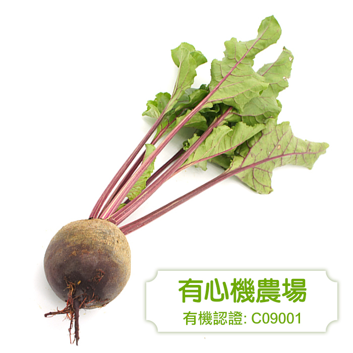 [有心機] 有機紅菜頭 1磅 (453g)