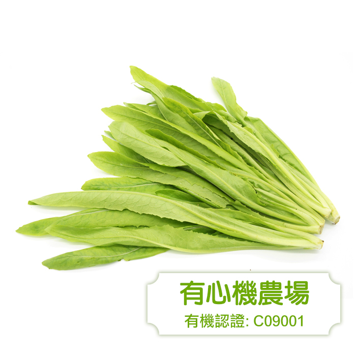 [有心機] 有機油麥菜 1磅 (453g)