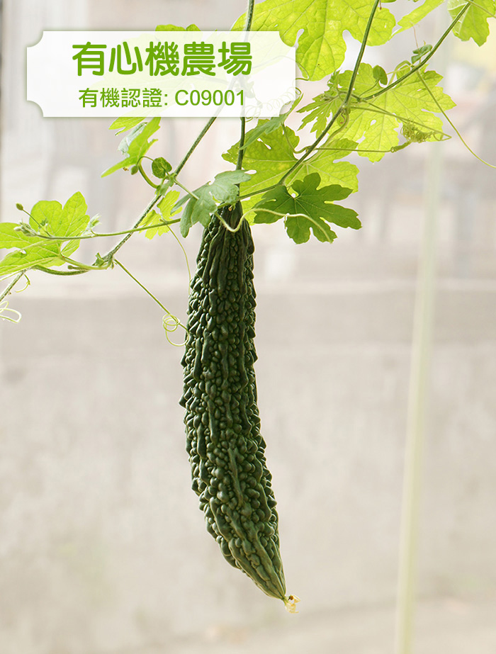 [有心機] 有機沖繩苦瓜 300g