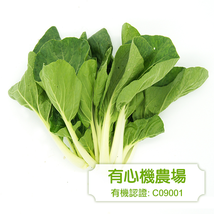 [有心機] 有機白菜 1磅 (453g)