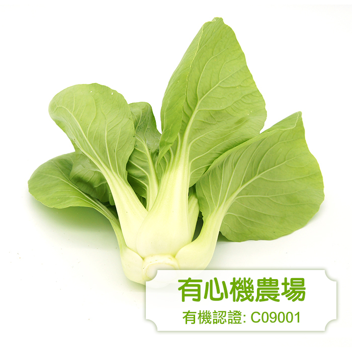 [有心機] 有機小棠菜 1磅 (453g)