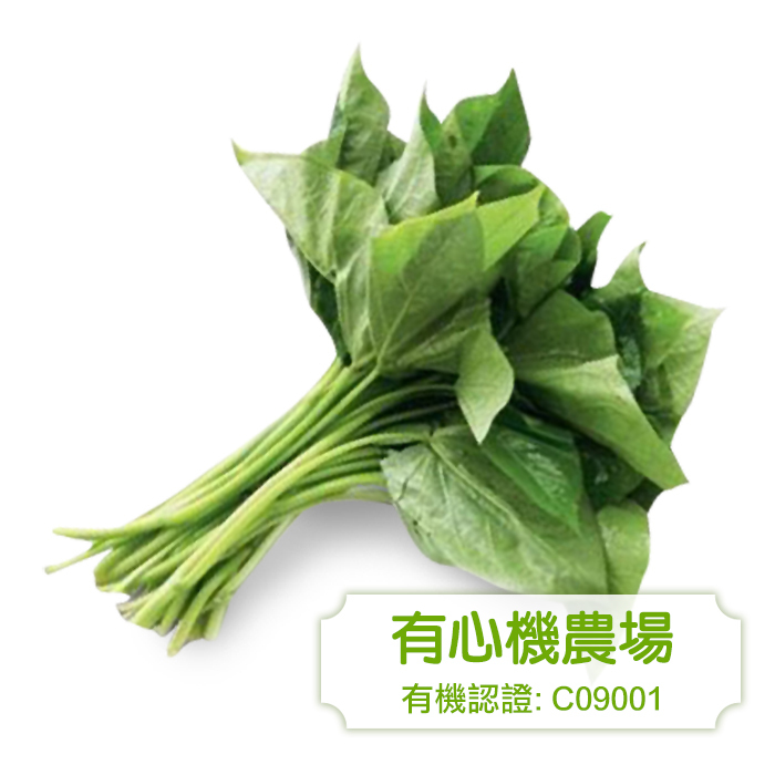 [有心機] Organic Sweet Potato Leaf 有機蕃薯苗 1磅 (453g)