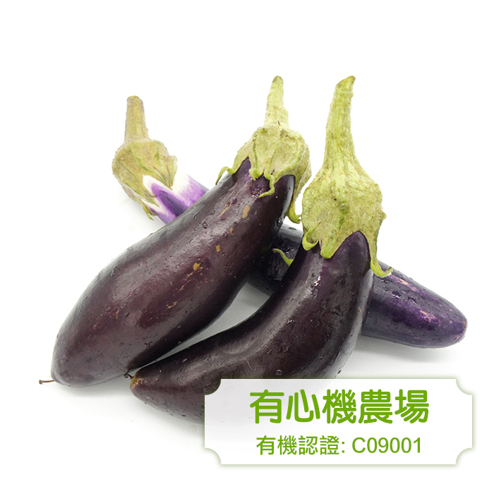 [Zen Farm] Organic Eggplant 1lb (453g)