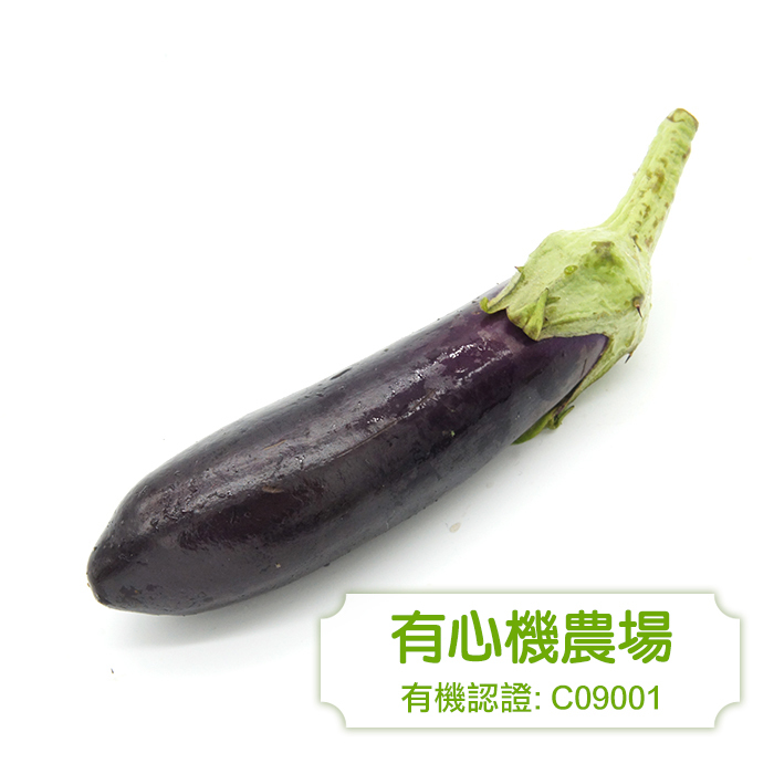[Zen Farm] Organic Eggplant 1lb (453g)