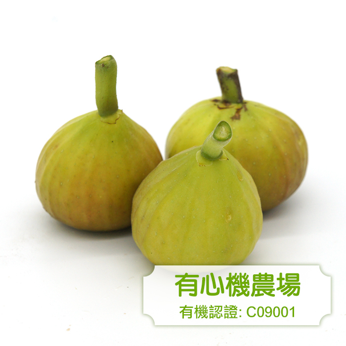 [Zen Farm] Organic Fig (a box)