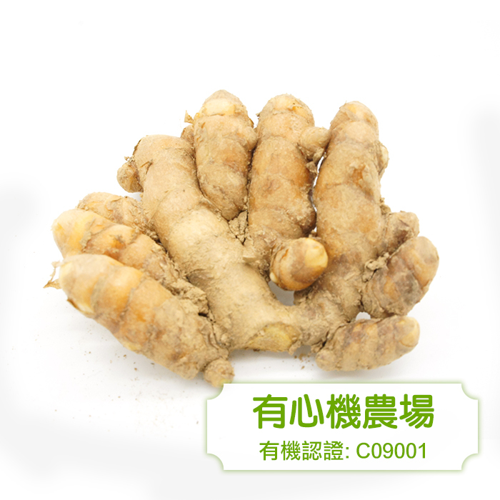 [有心機] 有機黃薑 半磅 (225g)