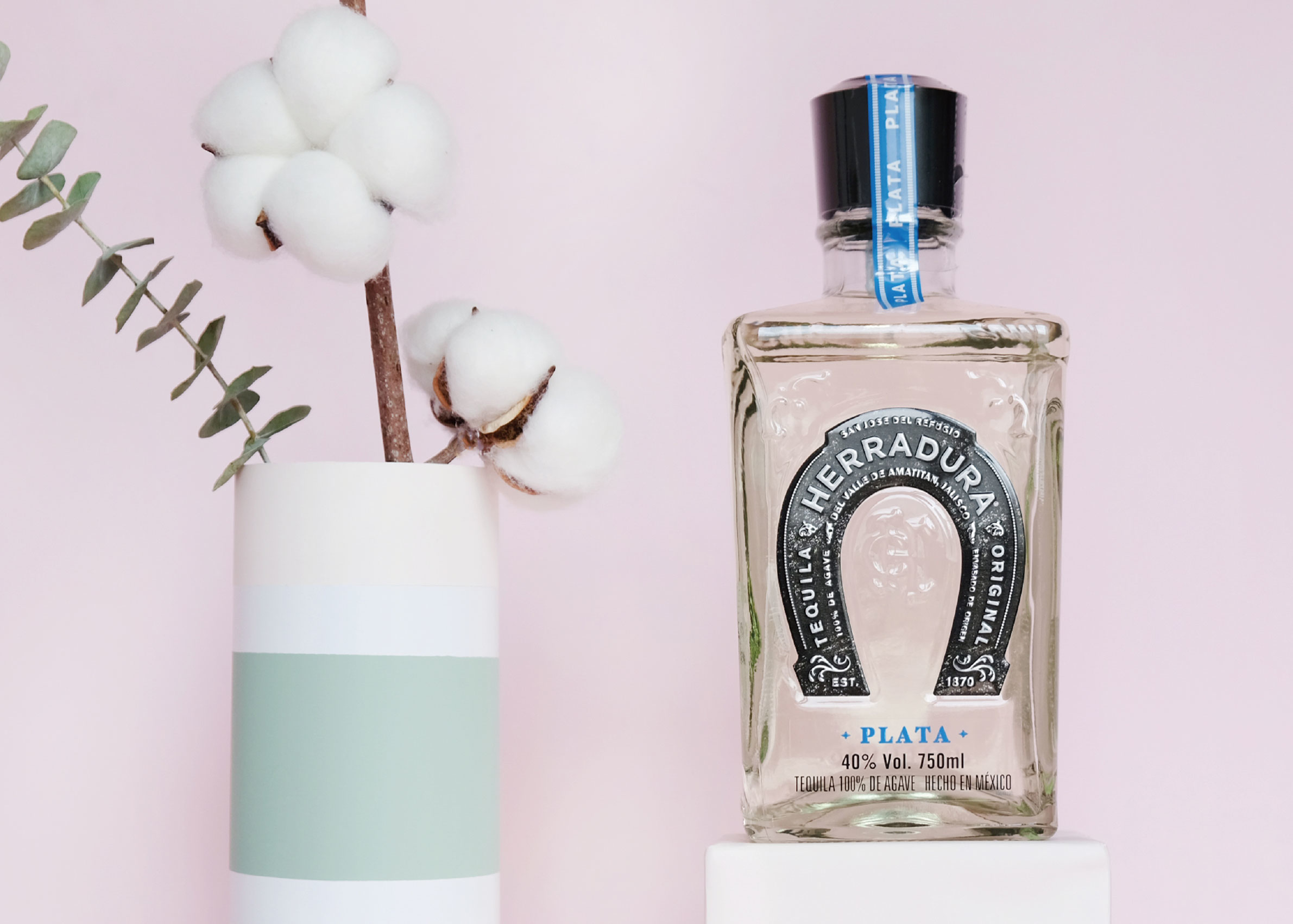 ChillKnowledge-learn-about-tequila