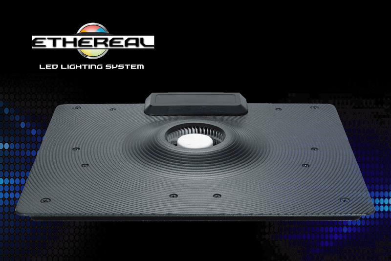 Maxspect ETHEREAL E5