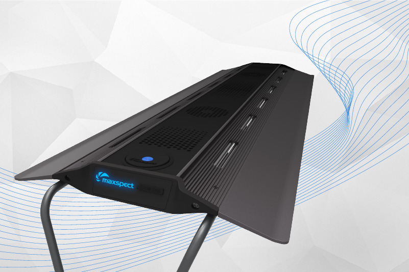 Maxspect邁光 RSX-R5