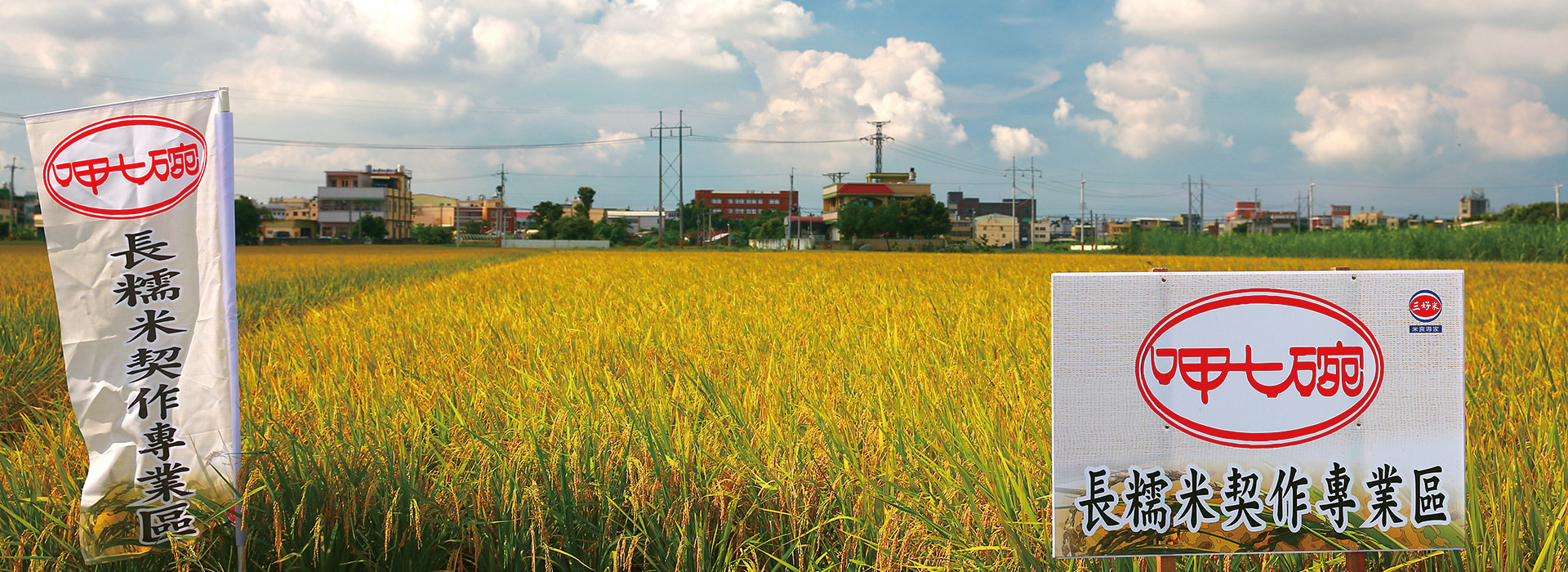 呷七碗-長糯米契作專業區