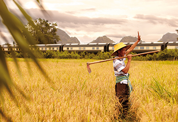 沐樂旅遊,沐樂,mullertravel,東方快車,泰國,曼谷,亞洲東方快車,新加坡