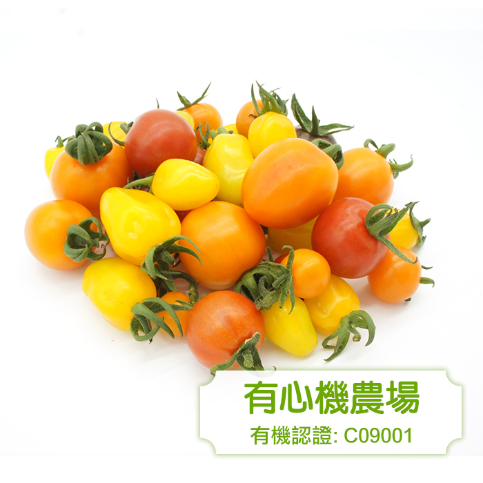 [有心機] 有機雜色車厘茄 (橙色, 紅色及黃色) 300g