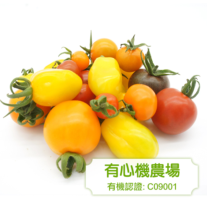 [有心機] 有機雜色車厘茄 (橙色, 紅色及黃色) 300g