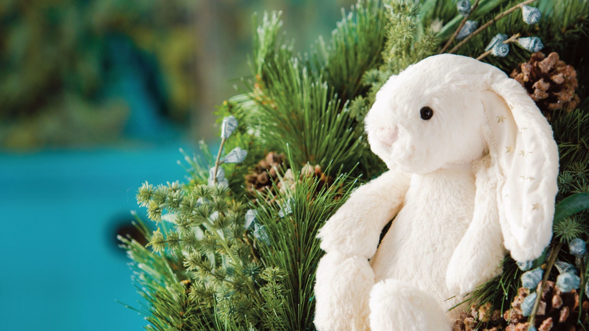 jellycat,兔兔,玩偶,絨毛娃娃,兔子jellycatbunny,玩具,親子,育兒