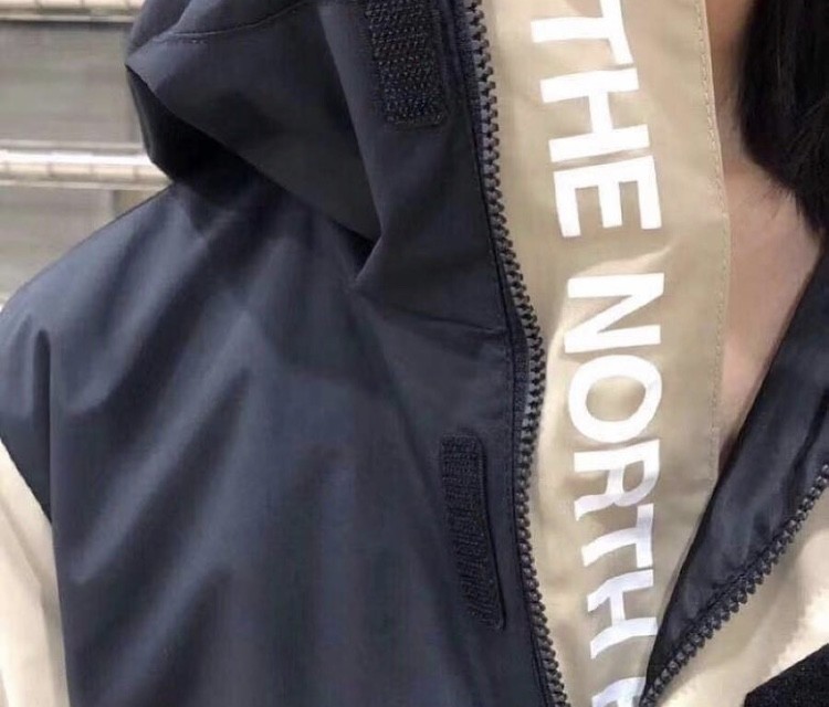 the north face dalton anorak