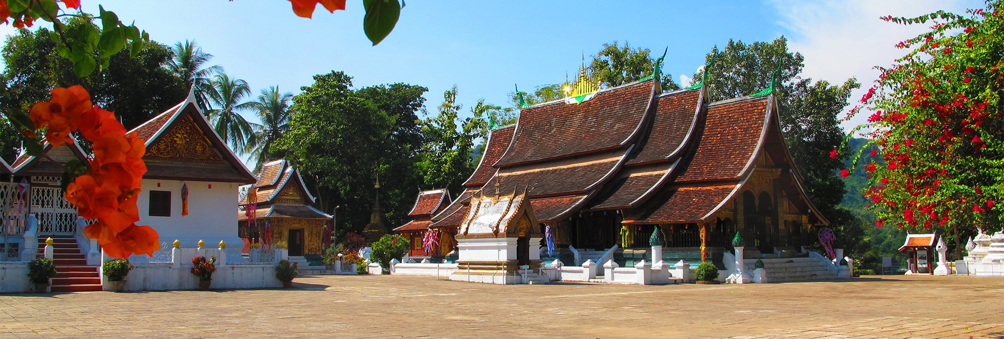 寮國五天四夜咖啡之旅