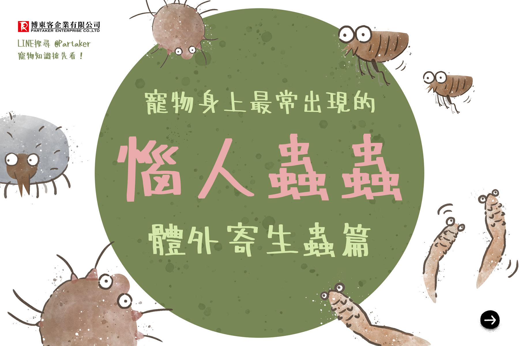 寵物身上最常出現的惱人蟲蟲－體外寄生蟲篇