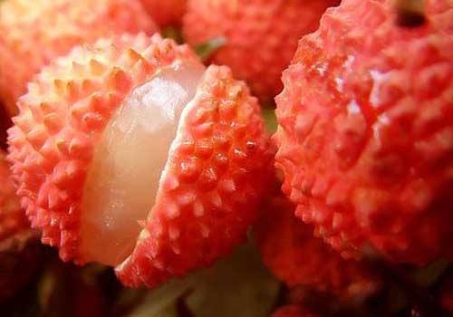 同健健脾化濕沖劑