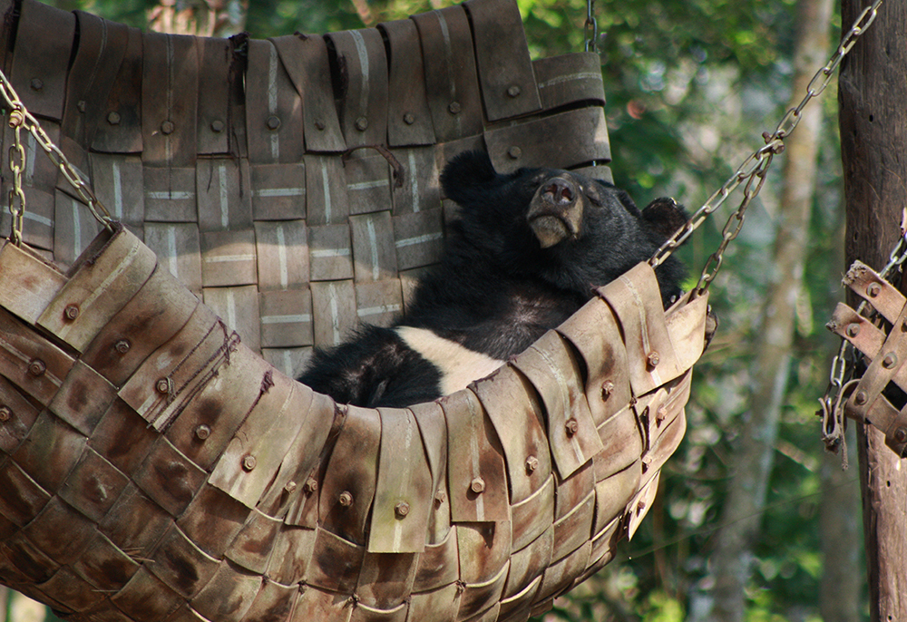 寮國八天七夜之旅