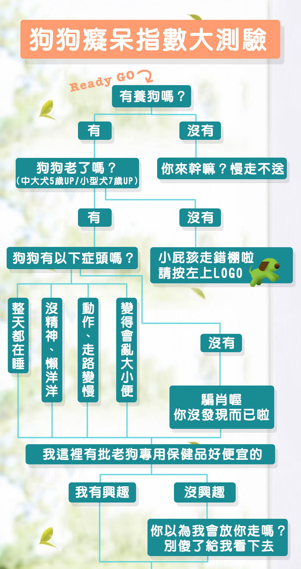 老狗每天沒精神、懶洋洋，快測試毛孩的痴呆指數！