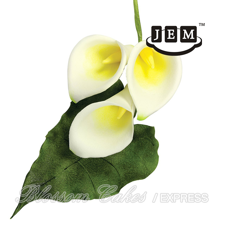JEM Life Size Arum Lily & Leaf Cutters, Set of 2
